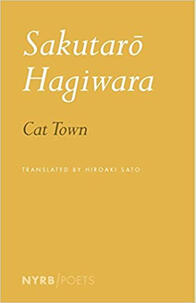cat town